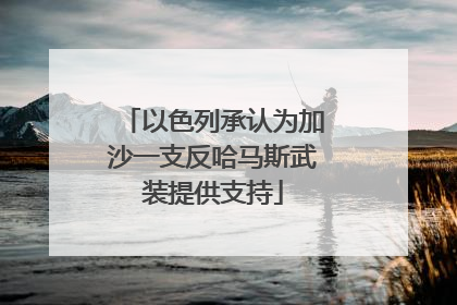 以色列承认为加沙一支反哈马斯武装提供支持
