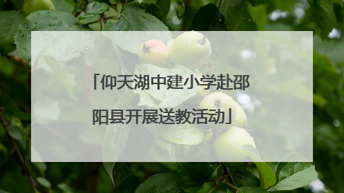 仰天湖中建小学赴邵阳县开展送教活动