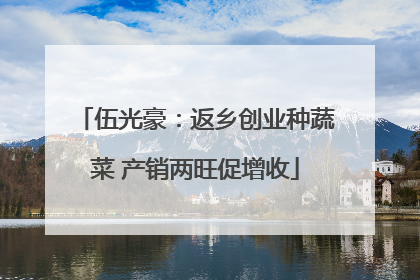 伍光豪：返乡创业种蔬菜 产销两旺促增收