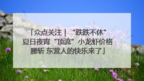 众点关注｜“跌跌不休” 夏日夜宵“顶流”小龙虾价格腰斩 东营人的快乐来了