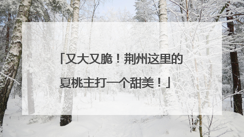 又大又脆！荆州这里的夏桃主打一个甜美！