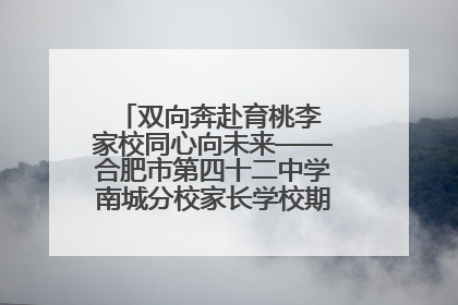 双向奔赴育桃李 家校同心向未来——合肥市第四十二中学南城分校家长学校期末总结会圆满召开