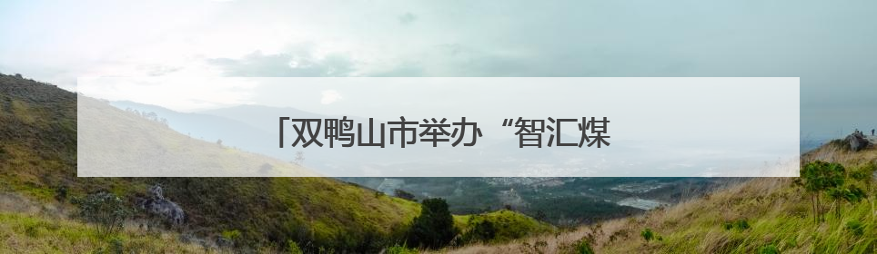双鸭山市举办“智汇煤城·才聚双赢”招聘会