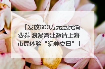 发放600万元惠民消费券 浪漫湾沚邀请上海市民体验“皖美夏日”