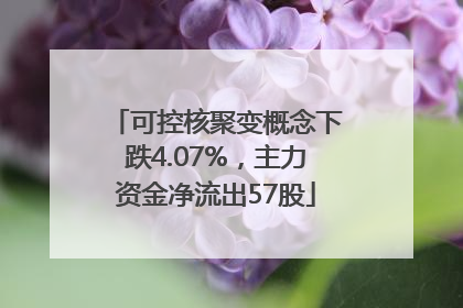 可控核聚变概念下跌4.07%，主力资金净流出57股