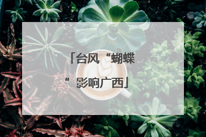 台风“蝴蝶”影响广西