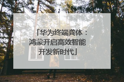 华为终端龚体：鸿蒙开启高效智能开发新时代