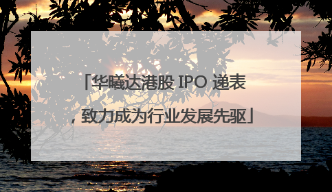 华曦达港股 IPO 递表，致力成为行业发展先驱