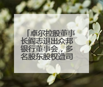 卓尔控股董事长阎志退出众邦银行董事会，多名股东股权遭司法冻结