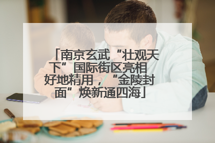 南京玄武“壮观天下”国际街区亮相 好地精用，“金陵封面”焕新通四海