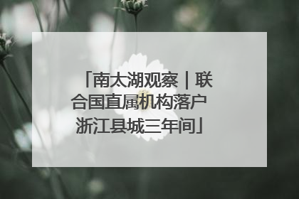 南太湖观察｜联合国直属机构落户浙江县城三年间