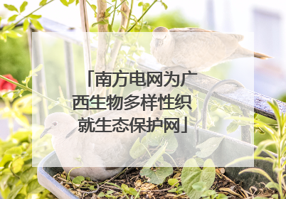 南方电网为广西生物多样性织就生态保护网