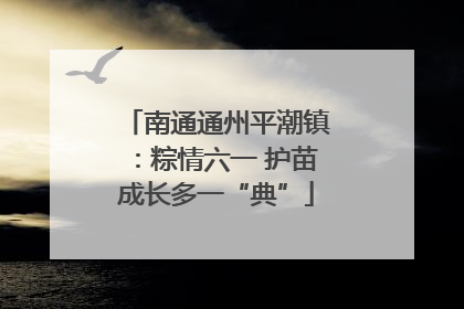 南通通州平潮镇：粽情六一 护苗成长多一“典”
