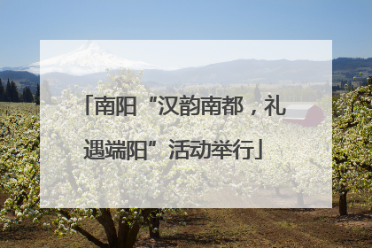 南阳“汉韵南都，礼遇端阳”活动举行