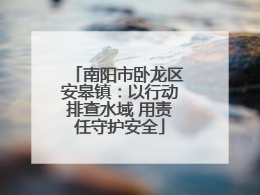 南阳市卧龙区安皋镇：以行动排查水域 用责任守护安全