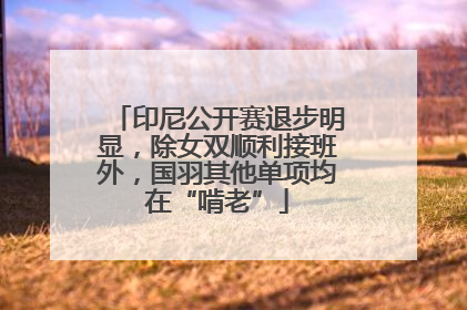 印尼公开赛退步明显，除女双顺利接班外，国羽其他单项均在“啃老”