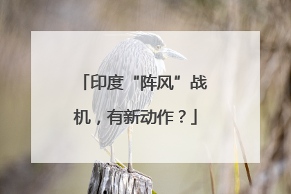 印度“阵风”战机，有新动作？