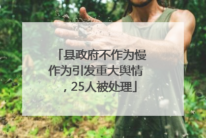 县政府不作为慢作为引发重大舆情，25人被处理