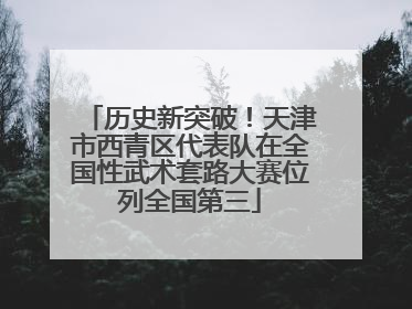 历史新突破！天津市西青区代表队在全国性武术套路大赛位列全国第三