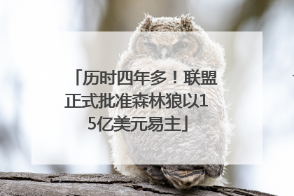 历时四年多！联盟正式批准森林狼以15亿美元易主