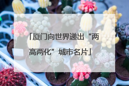 厦门向世界递出“两高两化”城市名片