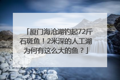 厦门海沧湖钓起72斤石斑鱼！2米深的人工湖为何有这么大的鱼？