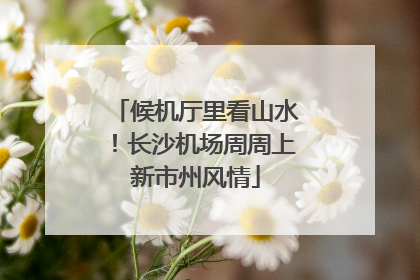 候机厅里看山水！长沙机场周周上新市州风情
