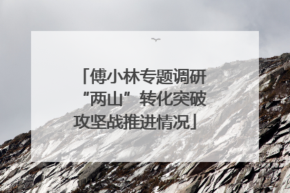 傅小林专题调研“两山”转化突破攻坚战推进情况