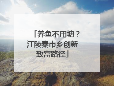 养鱼不用塘？江陵秦市乡创新致富路径