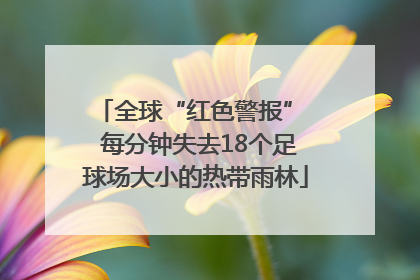 全球“红色警报”  每分钟失去18个足球场大小的热带雨林