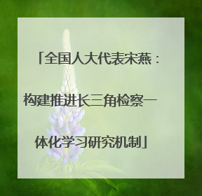全国人大代表宋燕：构建推进长三角检察一体化学习研究机制