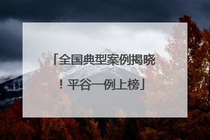 全国典型案例揭晓！平谷一例上榜
