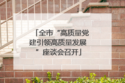 全市“高质量党建引领高质量发展”座谈会召开