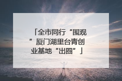 全市同行“围观”厦门湖里台青创业基地“出圈”