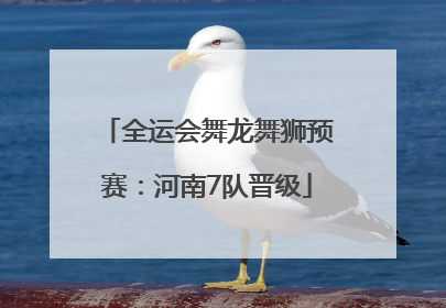 全运会舞龙舞狮预赛：河南7队晋级