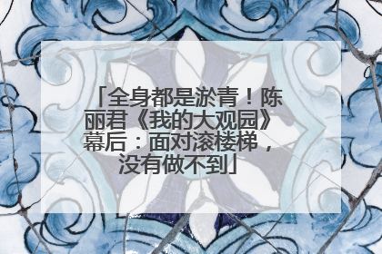 全身都是淤青！陈丽君《我的大观园》幕后：面对滚楼梯，没有做不到