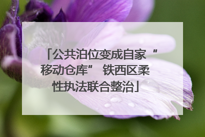 公共泊位变成自家“移动仓库” 铁西区柔性执法联合整治