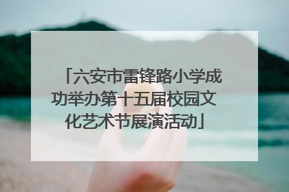 六安市雷锋路小学成功举办第十五届校园文化艺术节展演活动