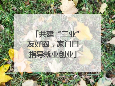 共建“三业”友好圈，家门口指导就业创业