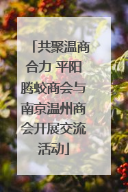 共聚温商合力 平阳腾蛟商会与南京温州商会开展交流活动