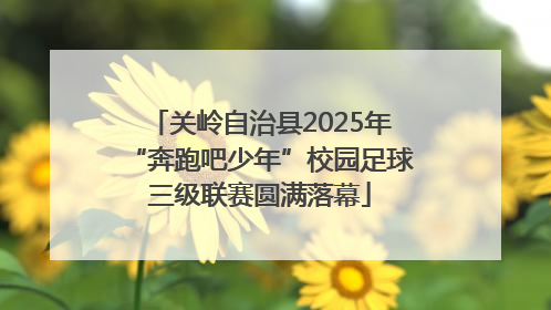 关岭自治县2025年“奔跑吧少年”校园足球三级联赛圆满落幕