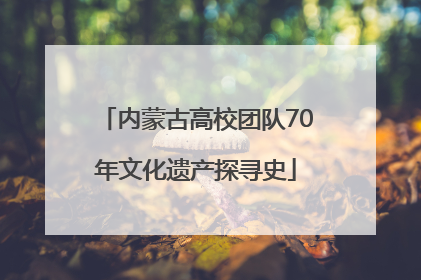 内蒙古高校团队70年文化遗产探寻史