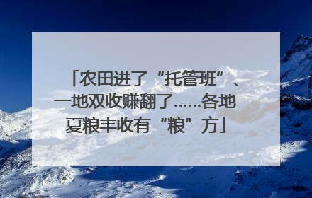 农田进了“托管班”、一地双收赚翻了……各地夏粮丰收有“粮”方