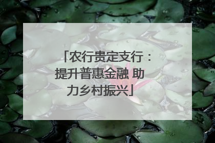 农行贵定支行：提升普惠金融 助力乡村振兴
