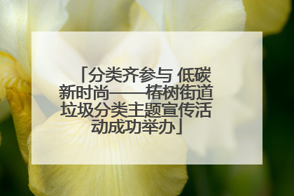 分类齐参与 低碳新时尚——椿树街道垃圾分类主题宣传活动成功举办
