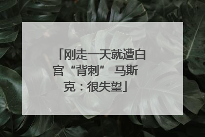 刚走一天就遭白宫“背刺” 马斯克：很失望
