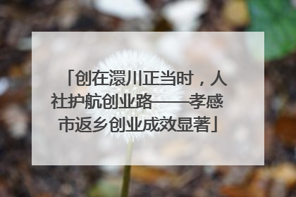 创在澴川正当时，人社护航创业路——孝感市返乡创业成效显著