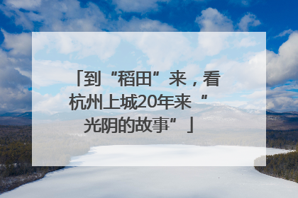 到“稻田”来，看杭州上城20年来“光阴的故事”