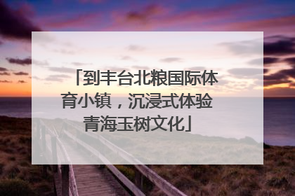 到丰台北粮国际体育小镇，沉浸式体验青海玉树文化