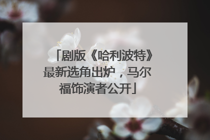 剧版《哈利波特》最新选角出炉，马尔福饰演者公开